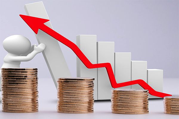 1691548352807448.jpeg 图片 (296).jpeg